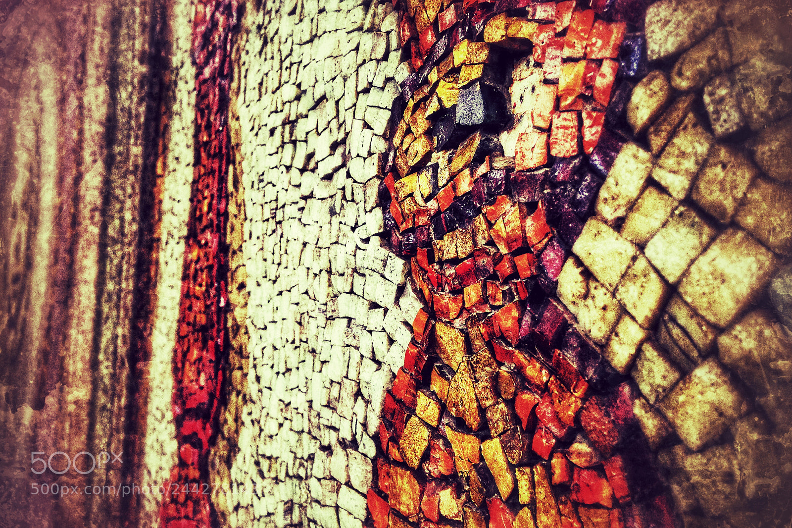 Apple iPhone 5 sample photo. Sanctipetri photography