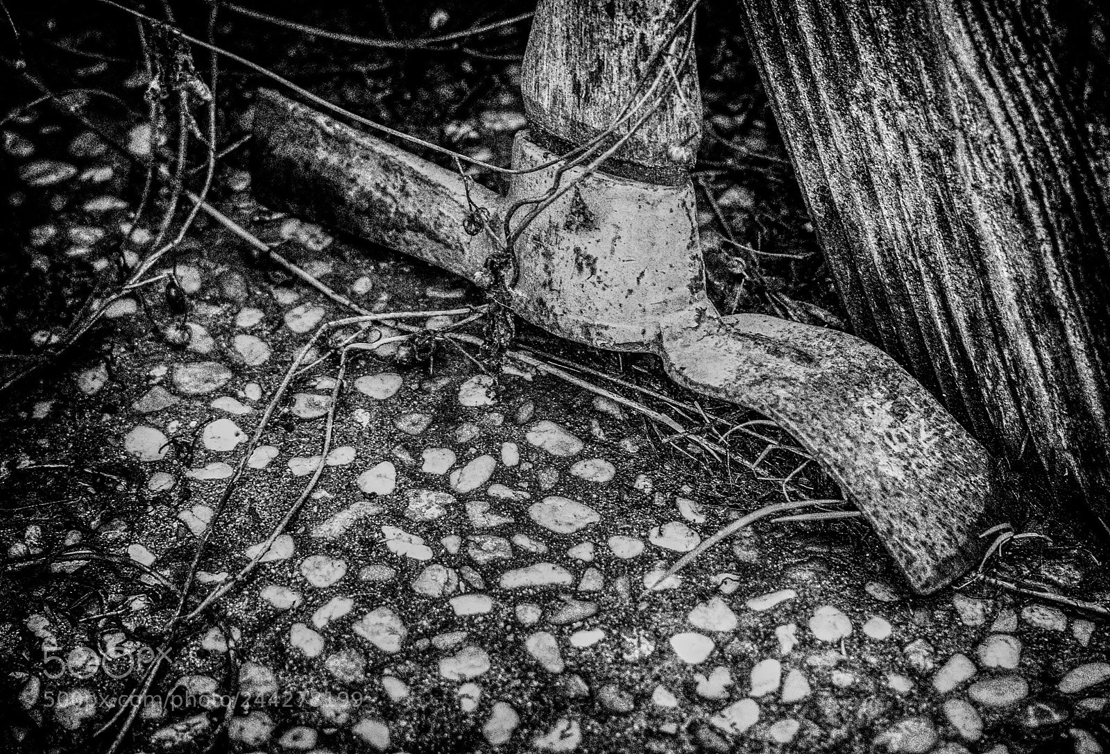 Leica M (Typ 240) sample photo. Untitled 56 photography