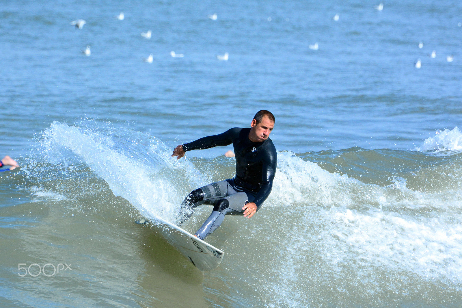 Nikon D7100 sample photo