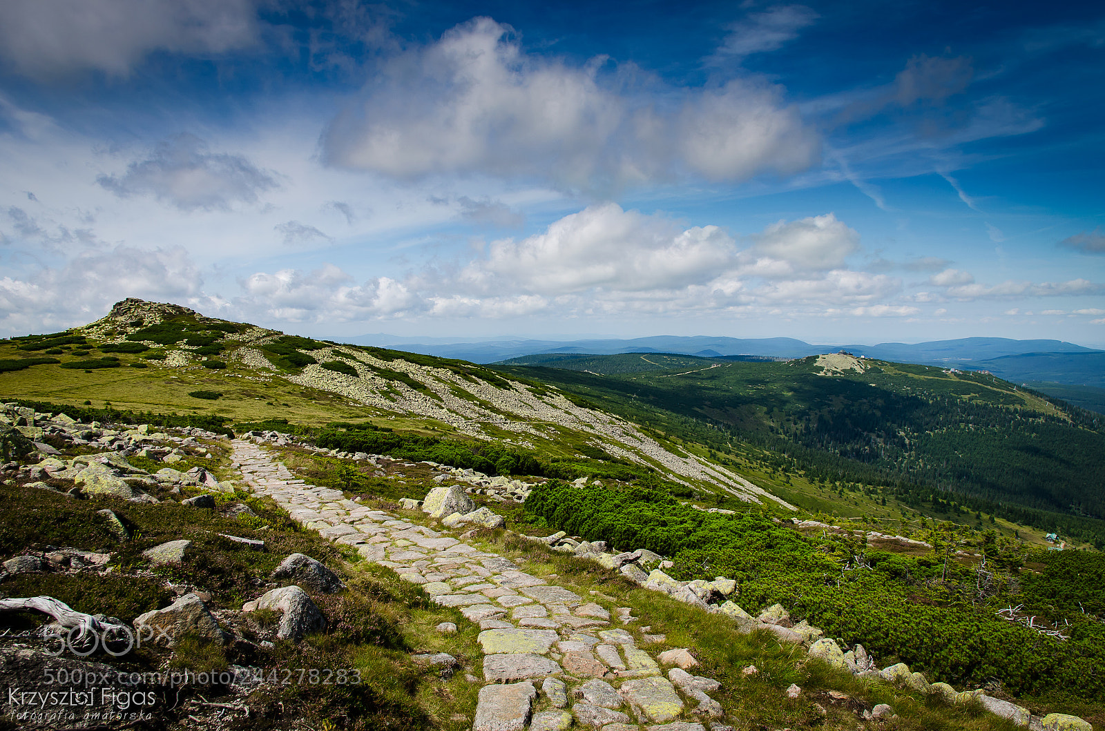 Nikon D5100 sample photo. On the path photography