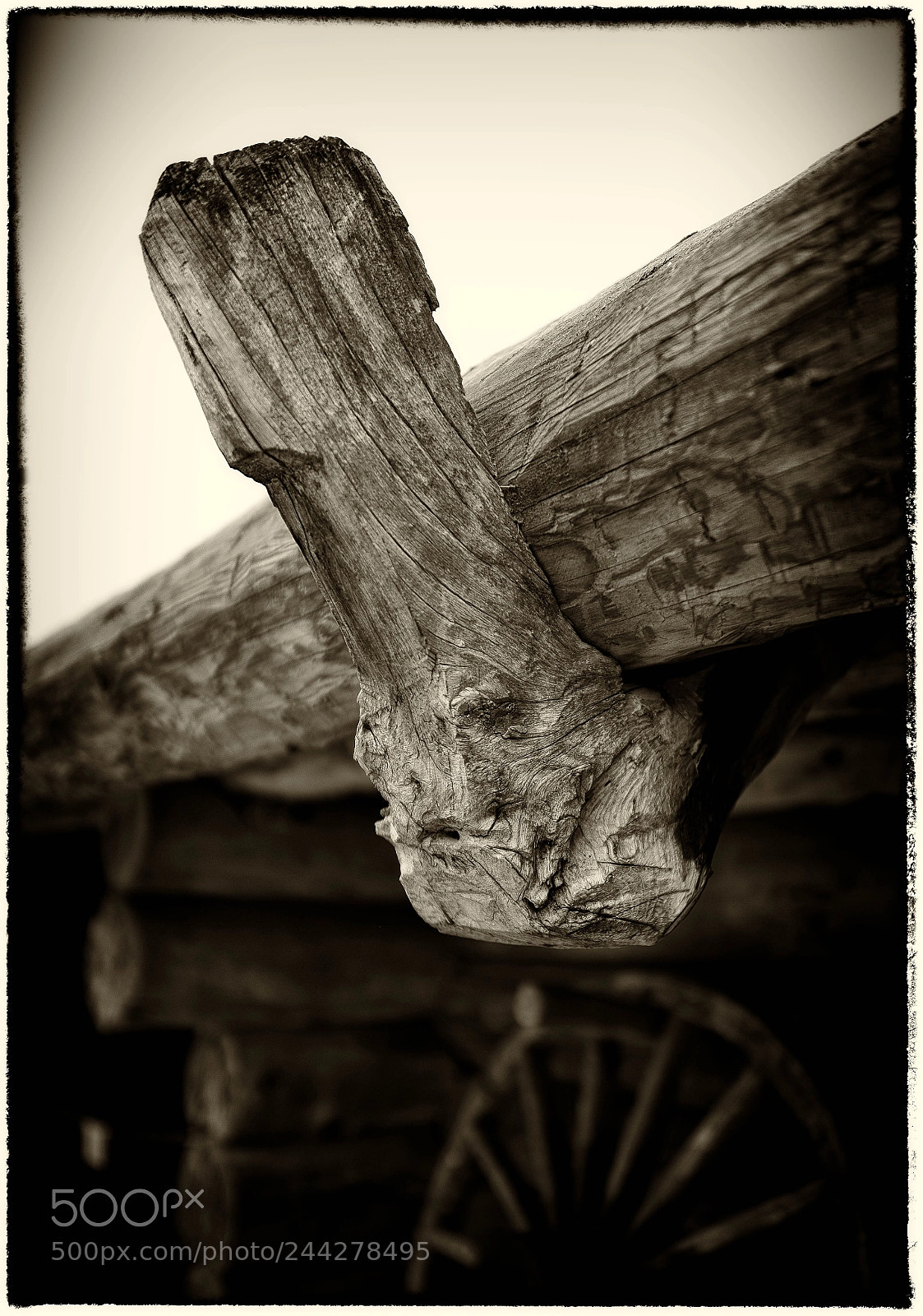 Sony a7 sample photo. The primal strength / Первобытная мощь photography