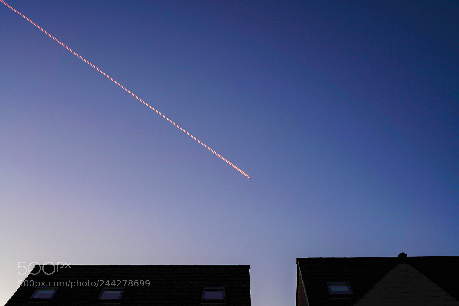 Sony a7R III sample photo. Lucky shot of a photography