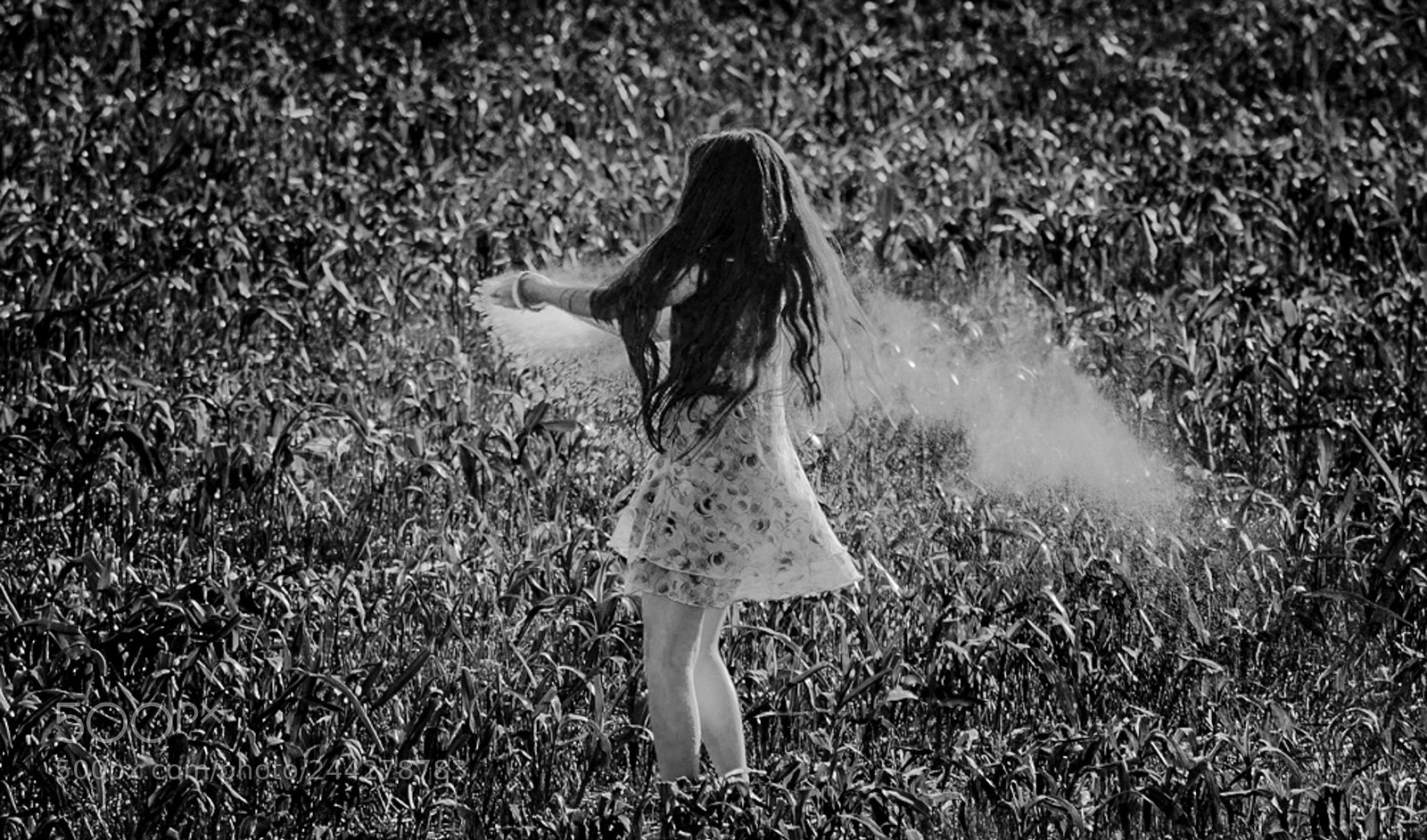 Nikon D7100 sample photo. Untitled photography