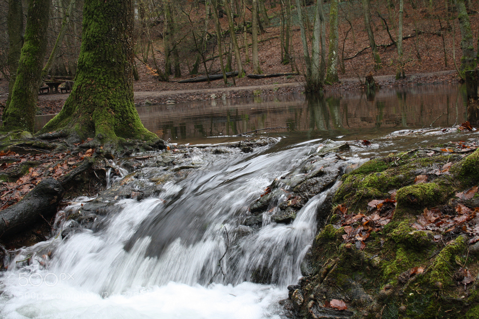 Canon EF-S 18-55mm F3.5-5.6 II sample photo. Tranquility photography