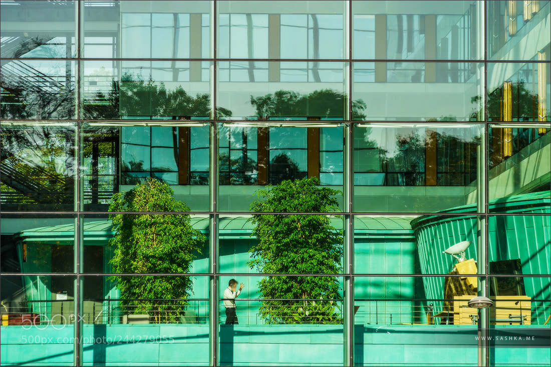 Sony a99 II sample photo. Comfortable office building view photography