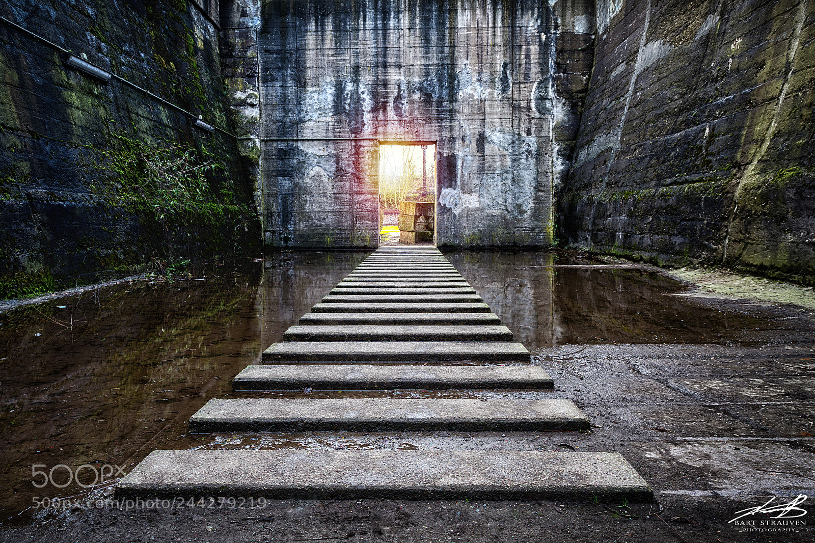 Nikon D7200 sample photo. "maze runner" photography