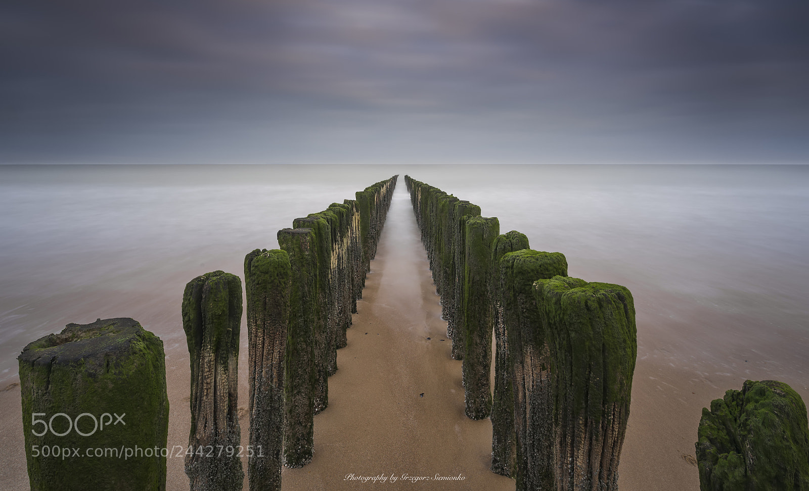 Nikon D810 sample photo. Sea palisade 1 photography