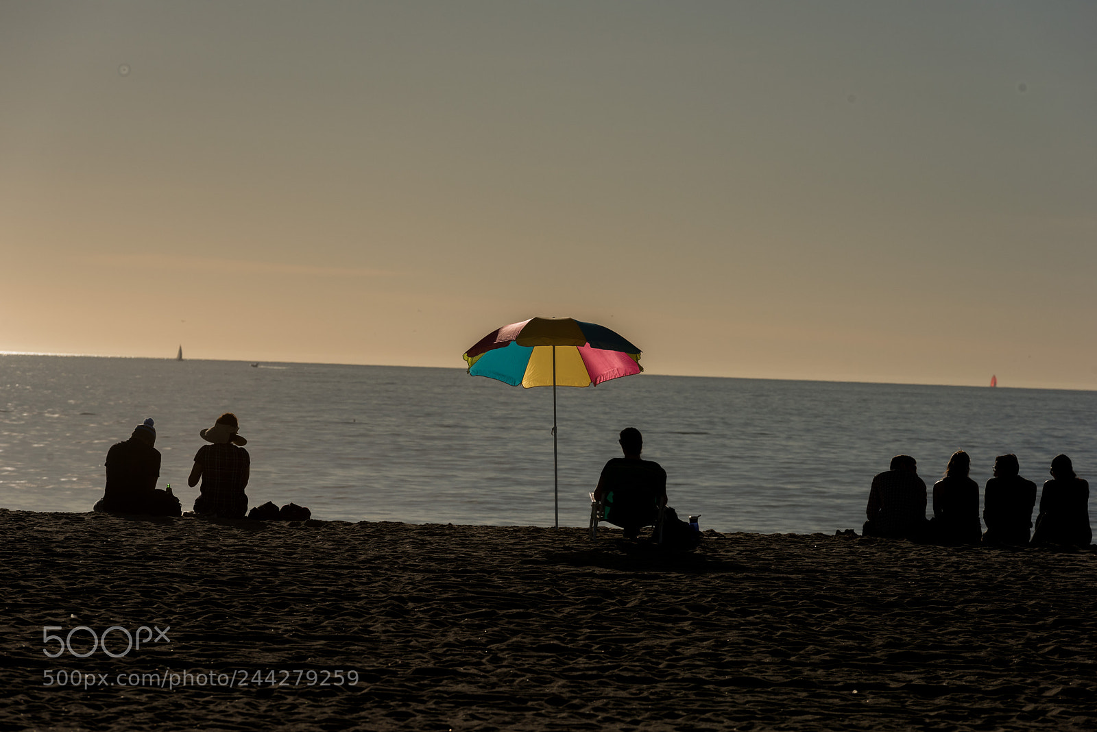 Nikon D810 sample photo. Venicebeach photography
