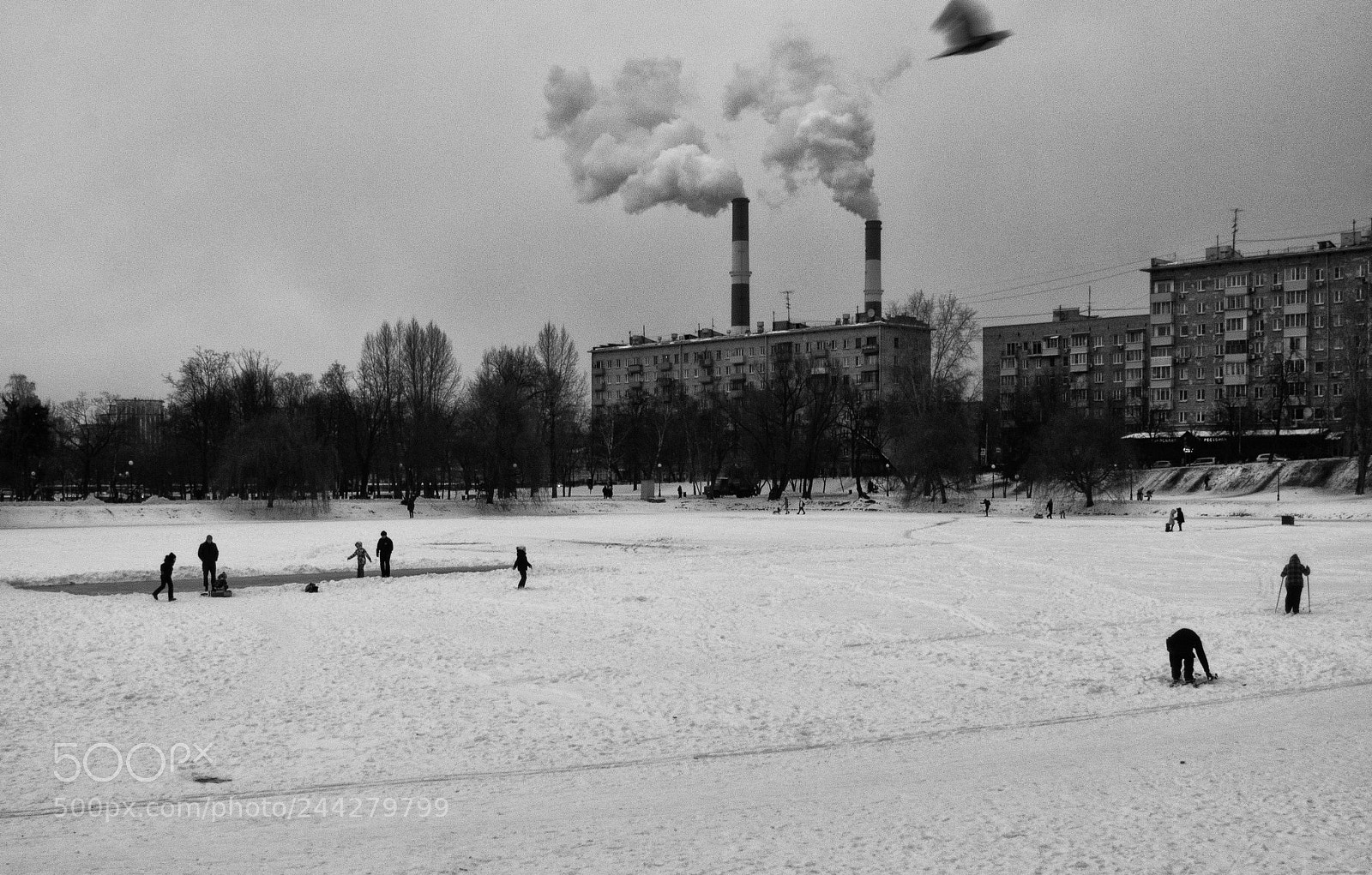 Olympus OM-D E-M1 sample photo. Winter on the ponds photography
