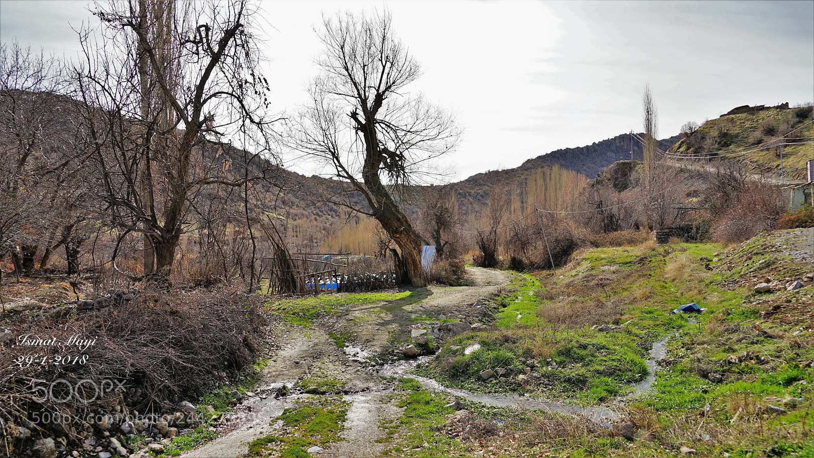 Sony a7 II sample photo. 5.jpg photography