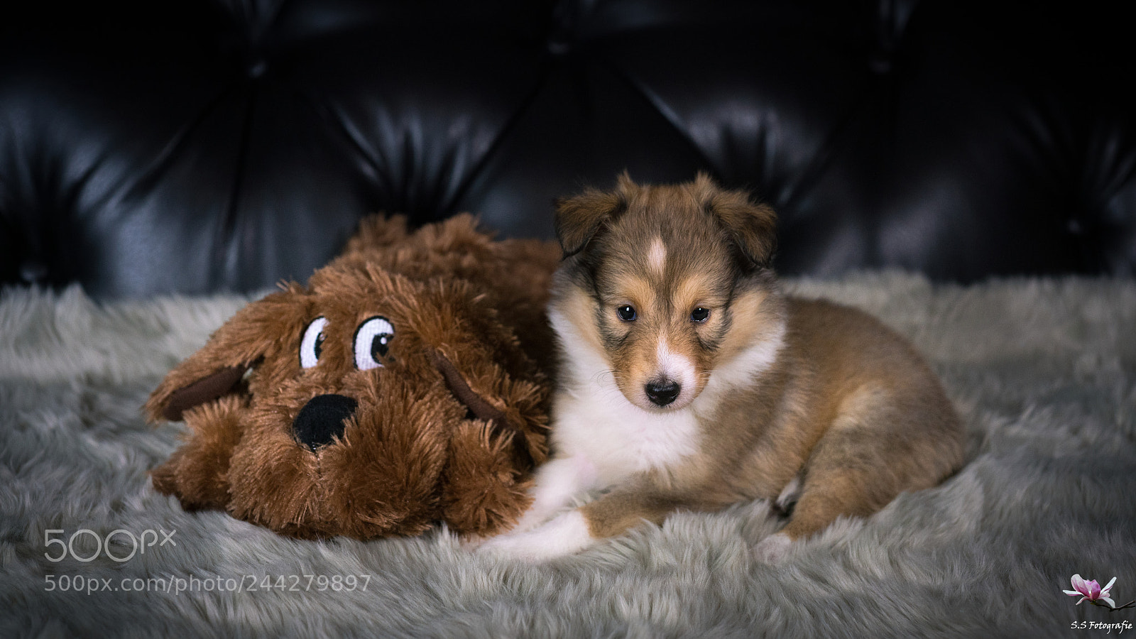 Sony a99 II sample photo. Baby harmonie photography