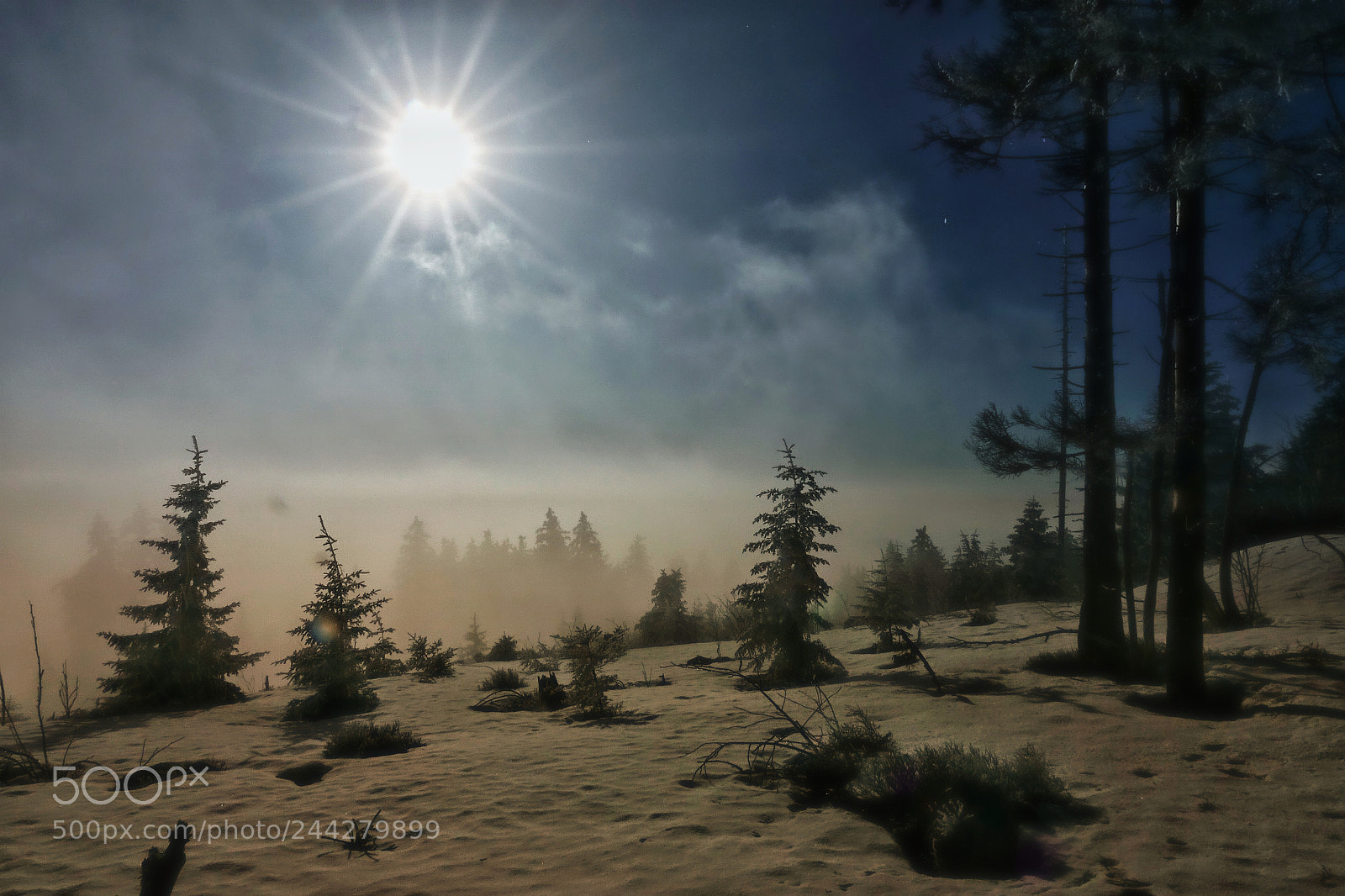Sony Cyber-shot DSC-RX10 III sample photo. Winter dreams photography