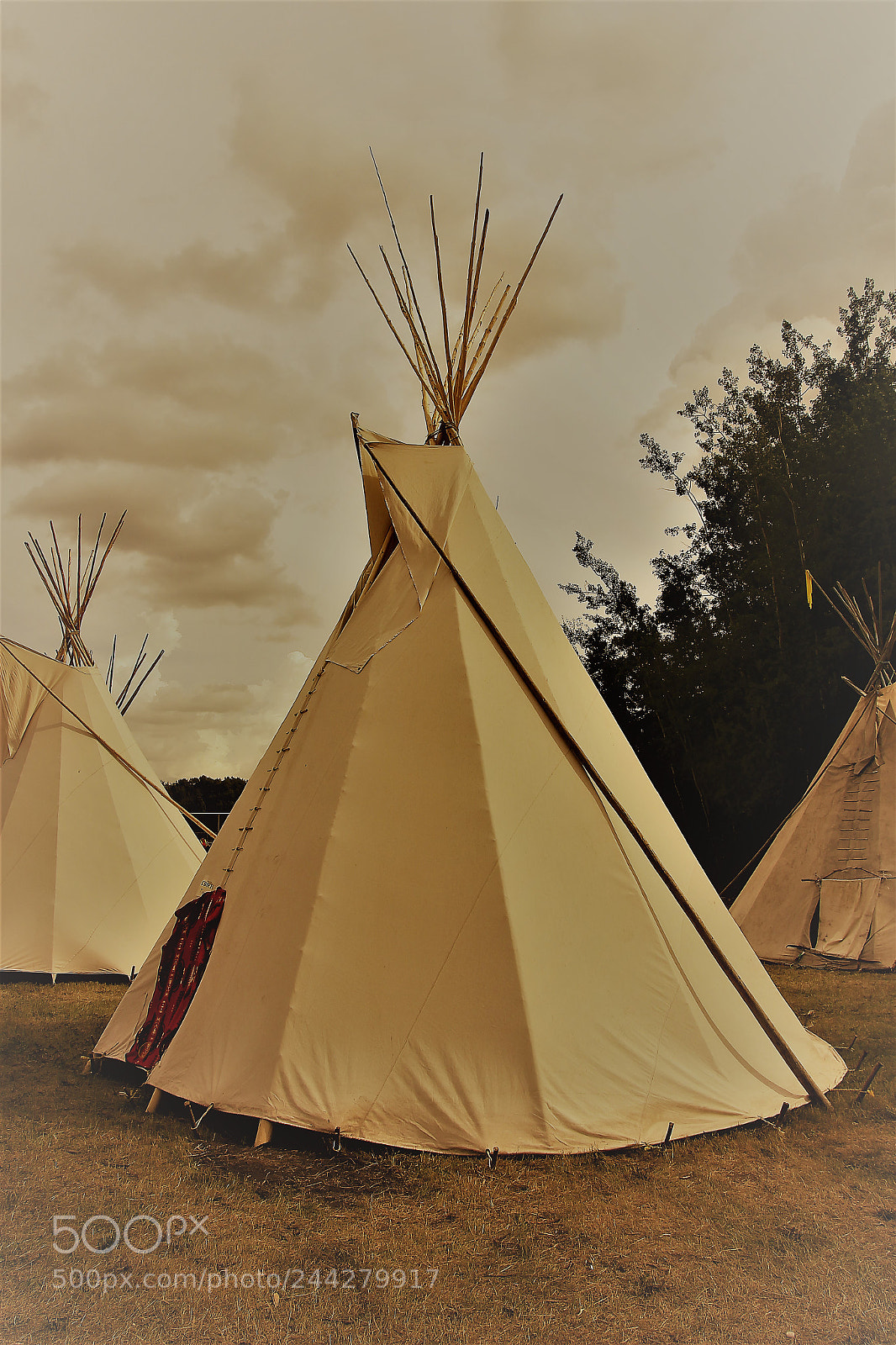 Canon EOS 550D (EOS Rebel T2i / EOS Kiss X4) sample photo. Pow wow sepia photography