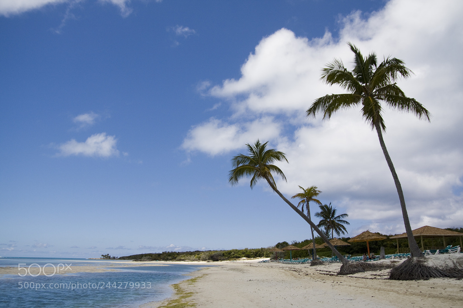 Canon EOS 40D sample photo. Bahamas 3 photography