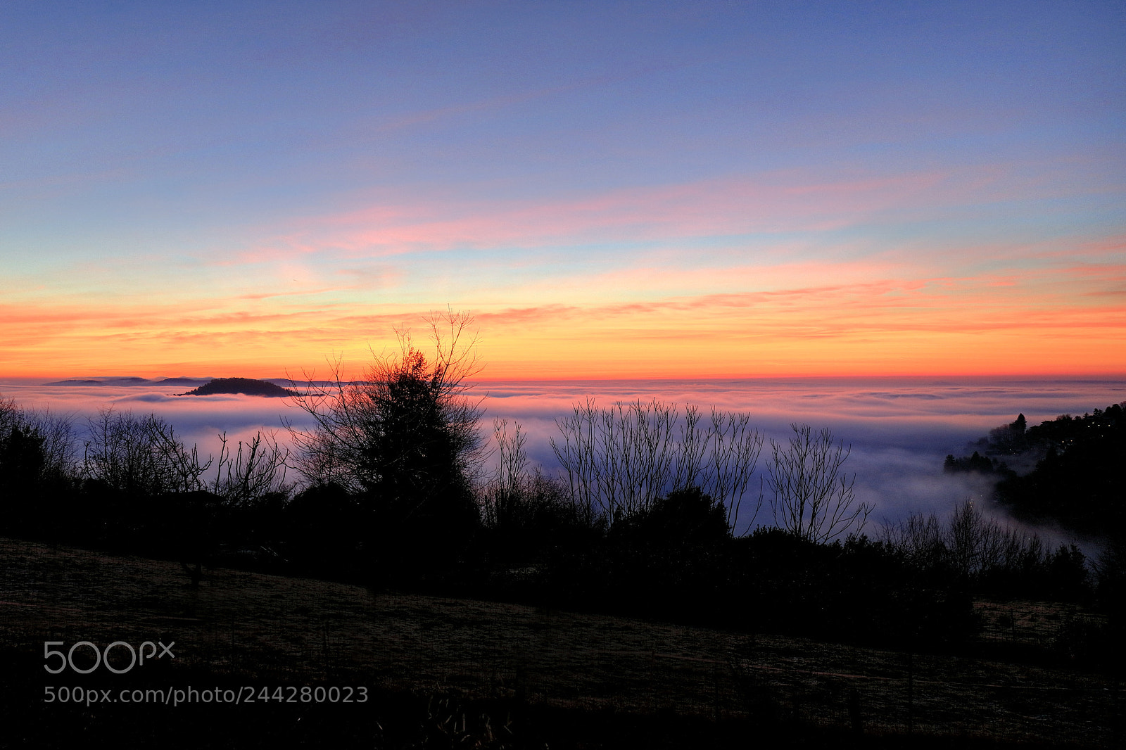 Canon EOS 5DS R sample photo. Sea of clouds over photography