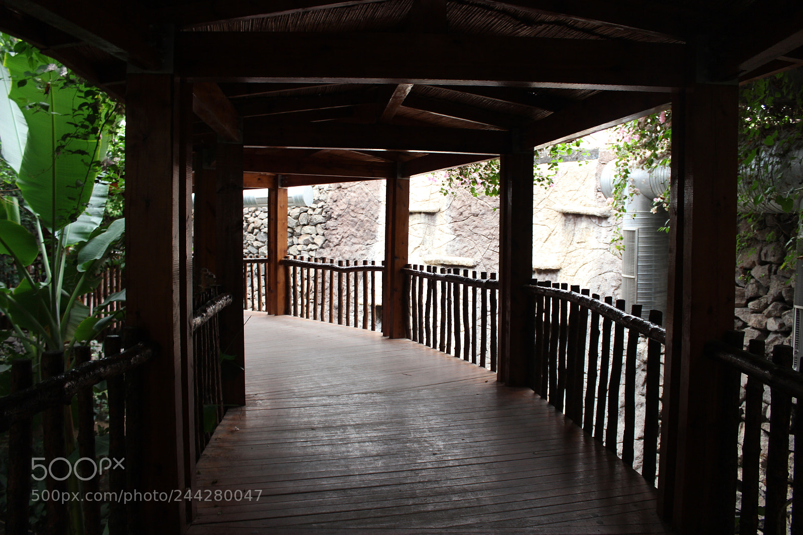 Canon EF-S 18-55mm F3.5-5.6 III sample photo. Img photography