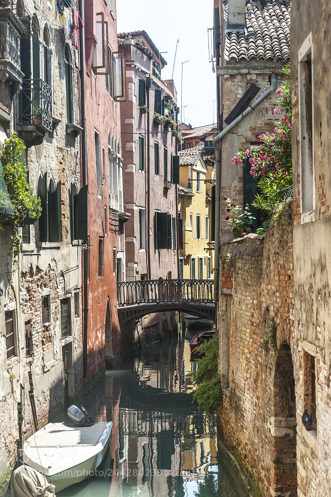 Nikon D700 sample photo. Venice (venezia) photography