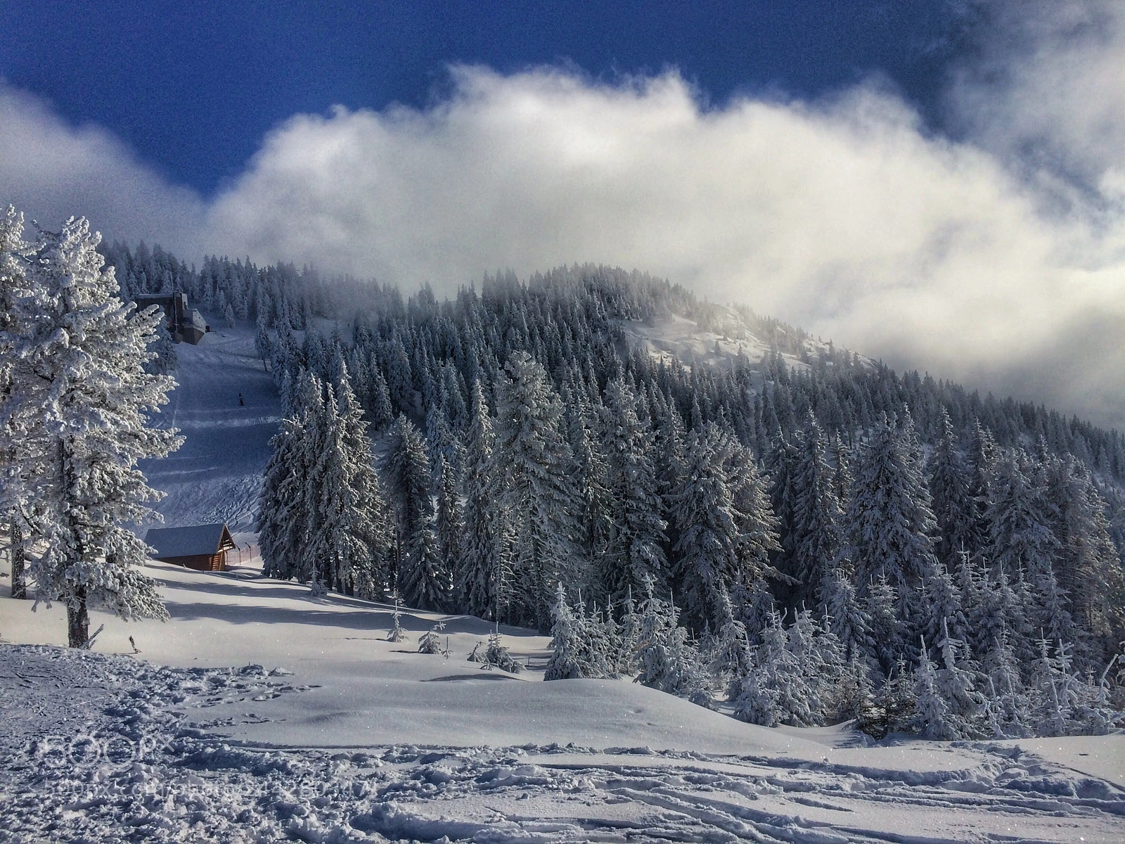Apple iPhone 5s sample photo. Winter tale photography
