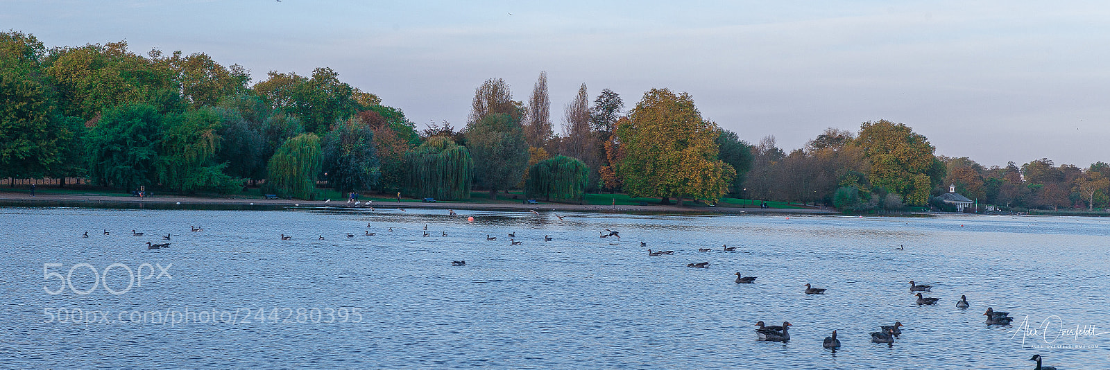 Leica M (Typ 240) sample photo. Serpentine pond in hyde photography