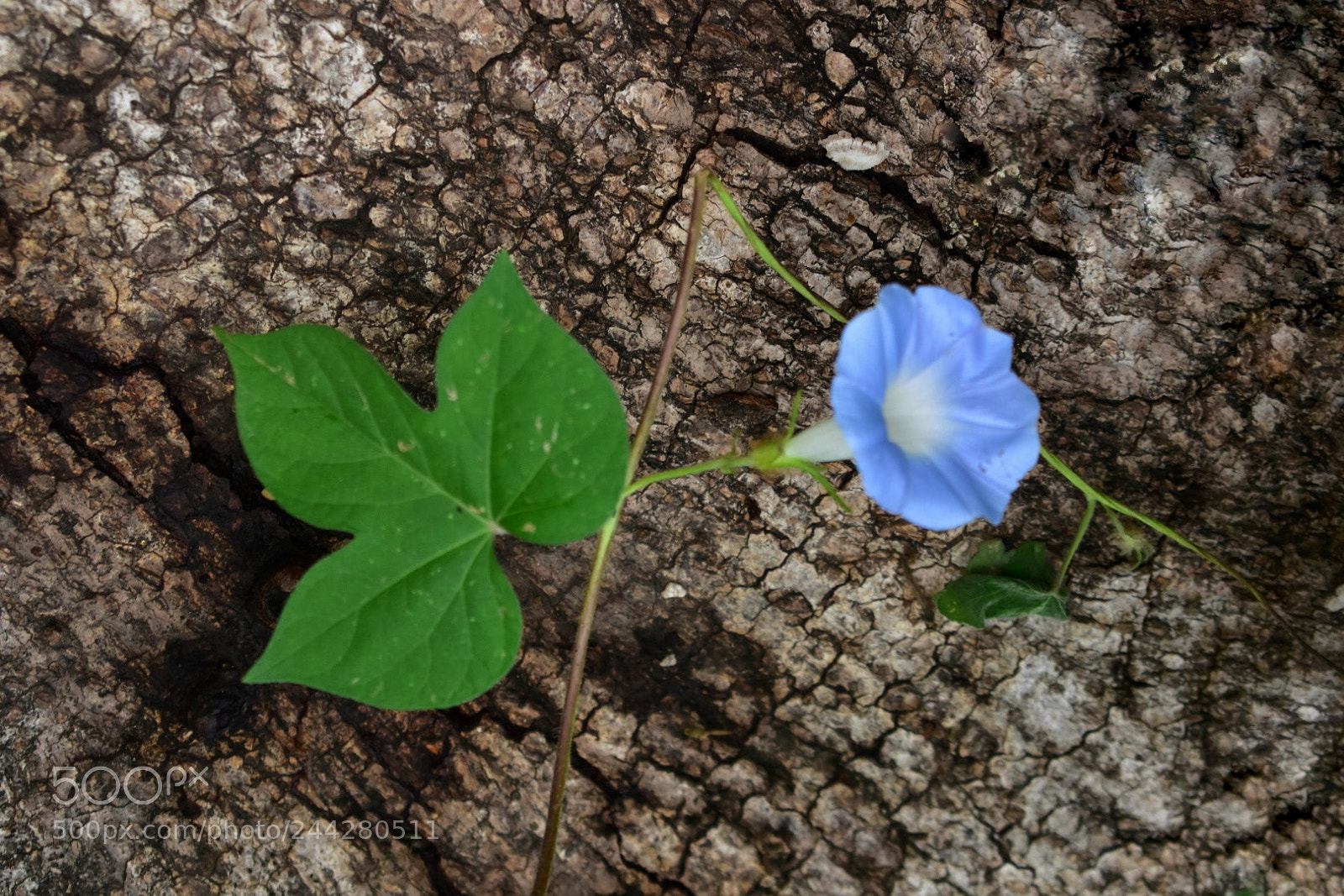 Nikon D3400 sample photo. Nature photography
