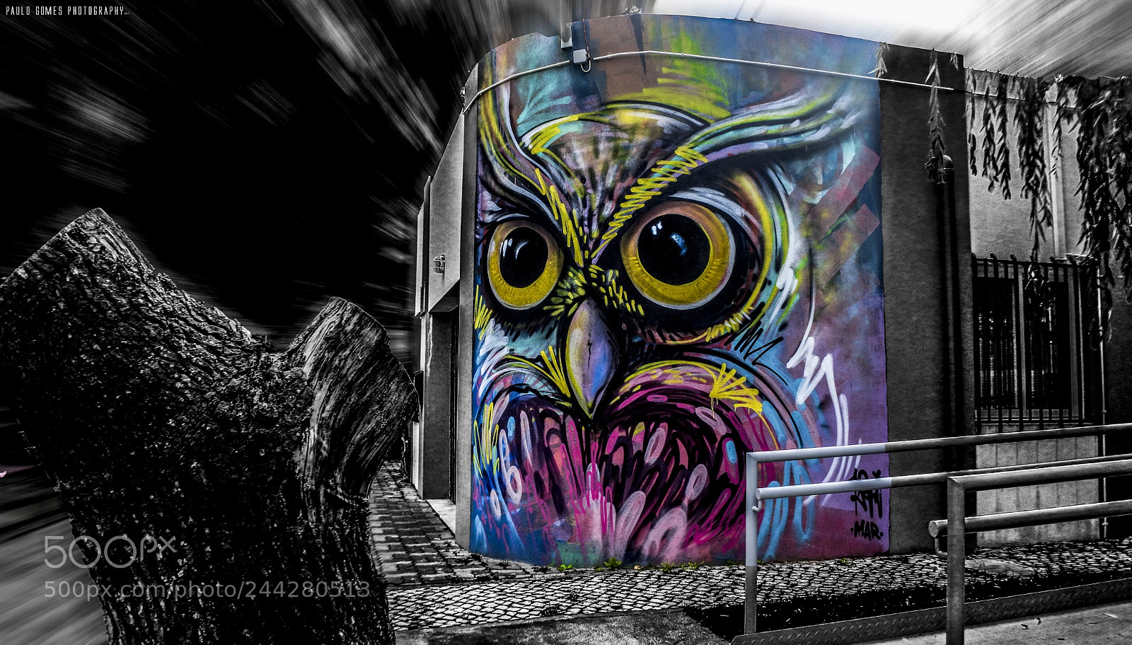 Nikon 1 J5 sample photo. Sr mocho [mr owl] photography