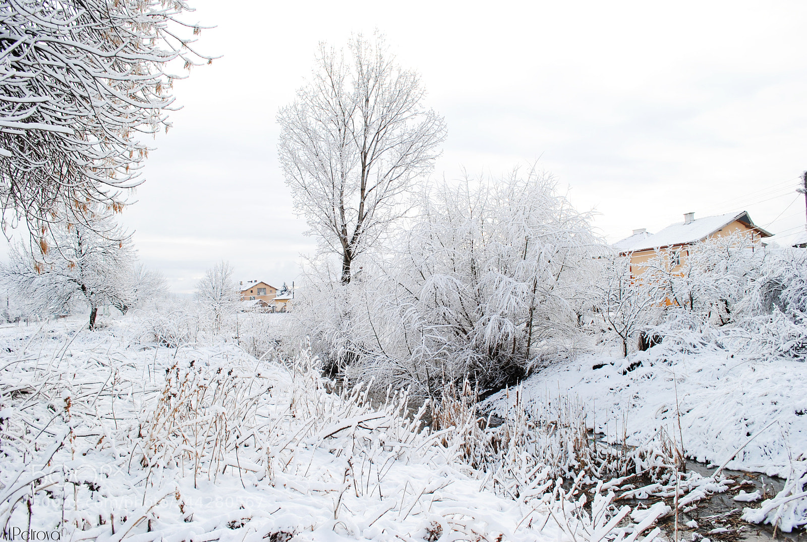 Nikon D3000 sample photo. Winter season photography
