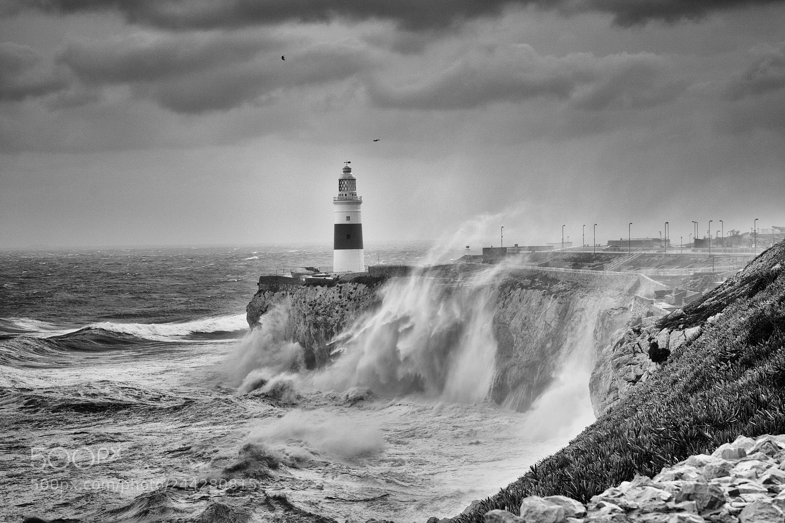 Canon EOS 7D Mark II sample photo. Strong weather photography