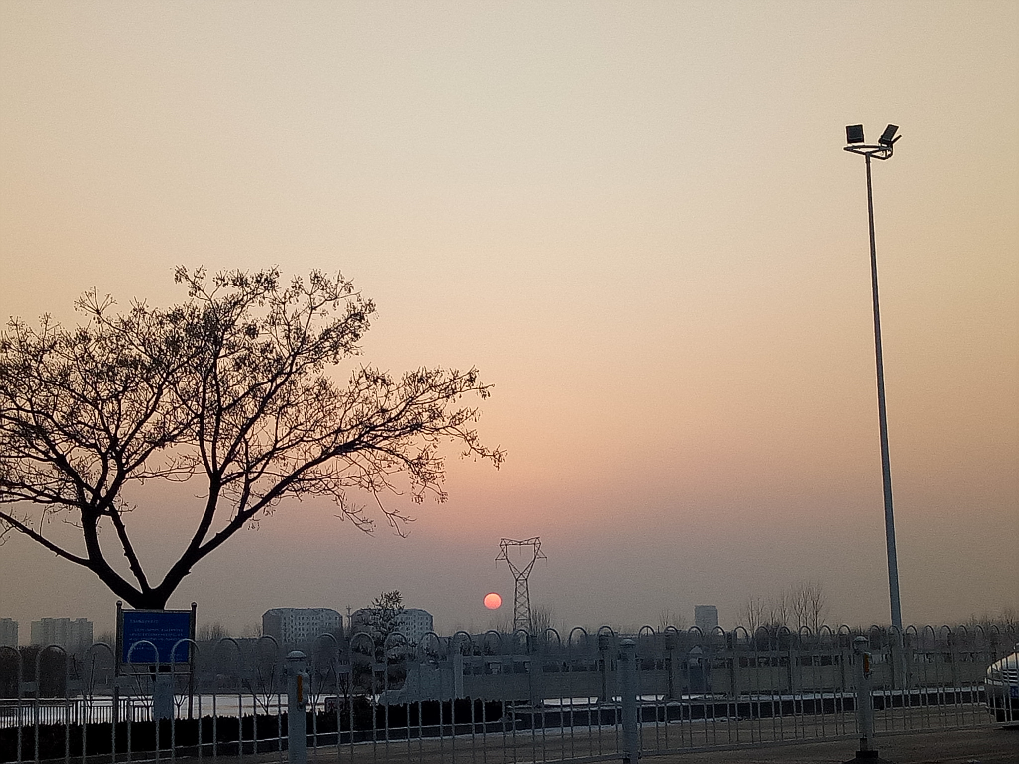 OPPO A59M sample photo. Winter sunset tree photography