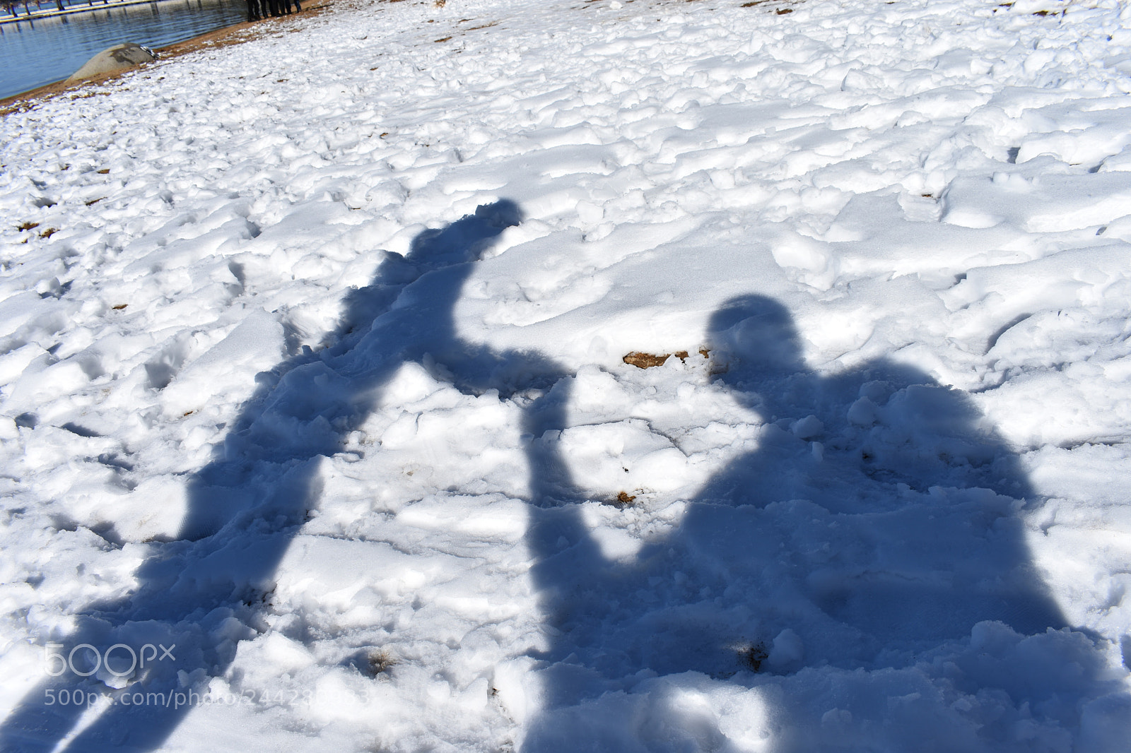 Nikon D3400 sample photo. Proposing photography