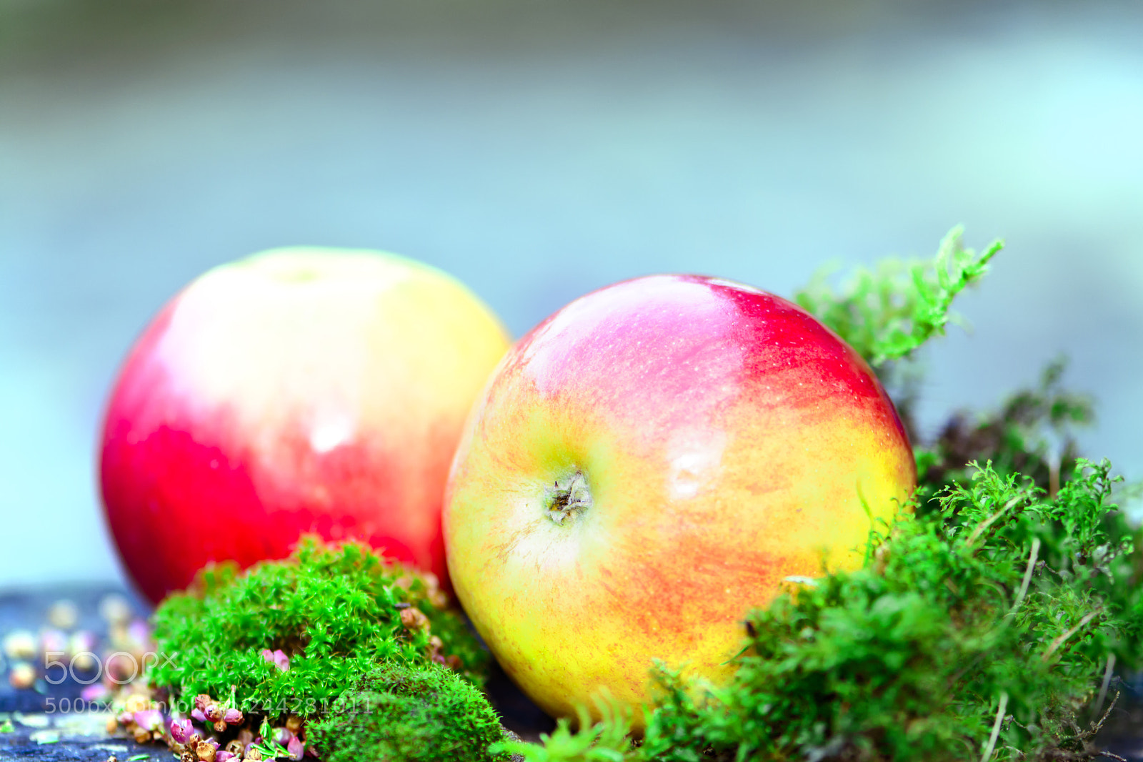 Nikon D7100 sample photo. What's for lunch? photography