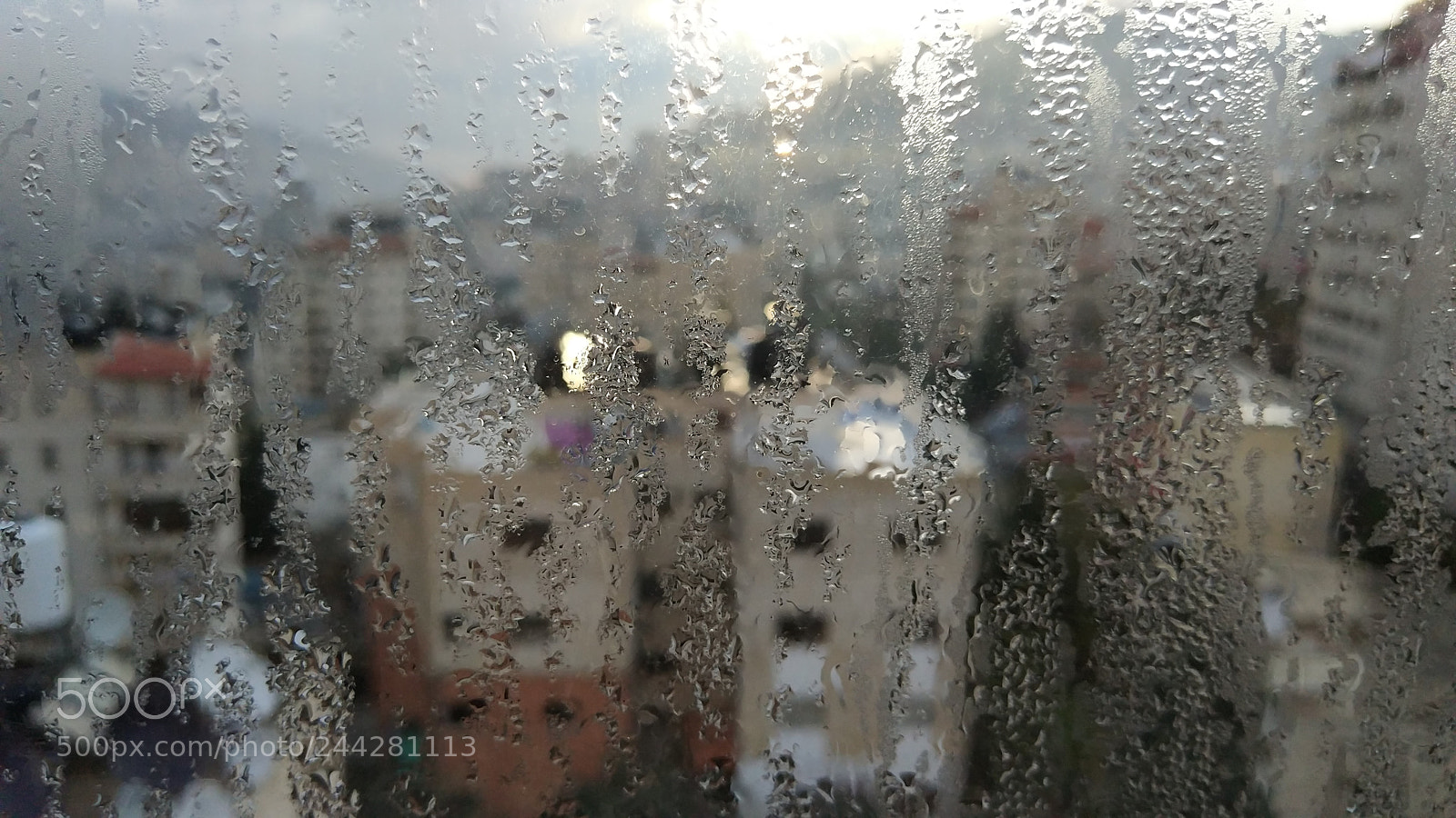 Xiaomi MI 5s sample photo. Dew points photography