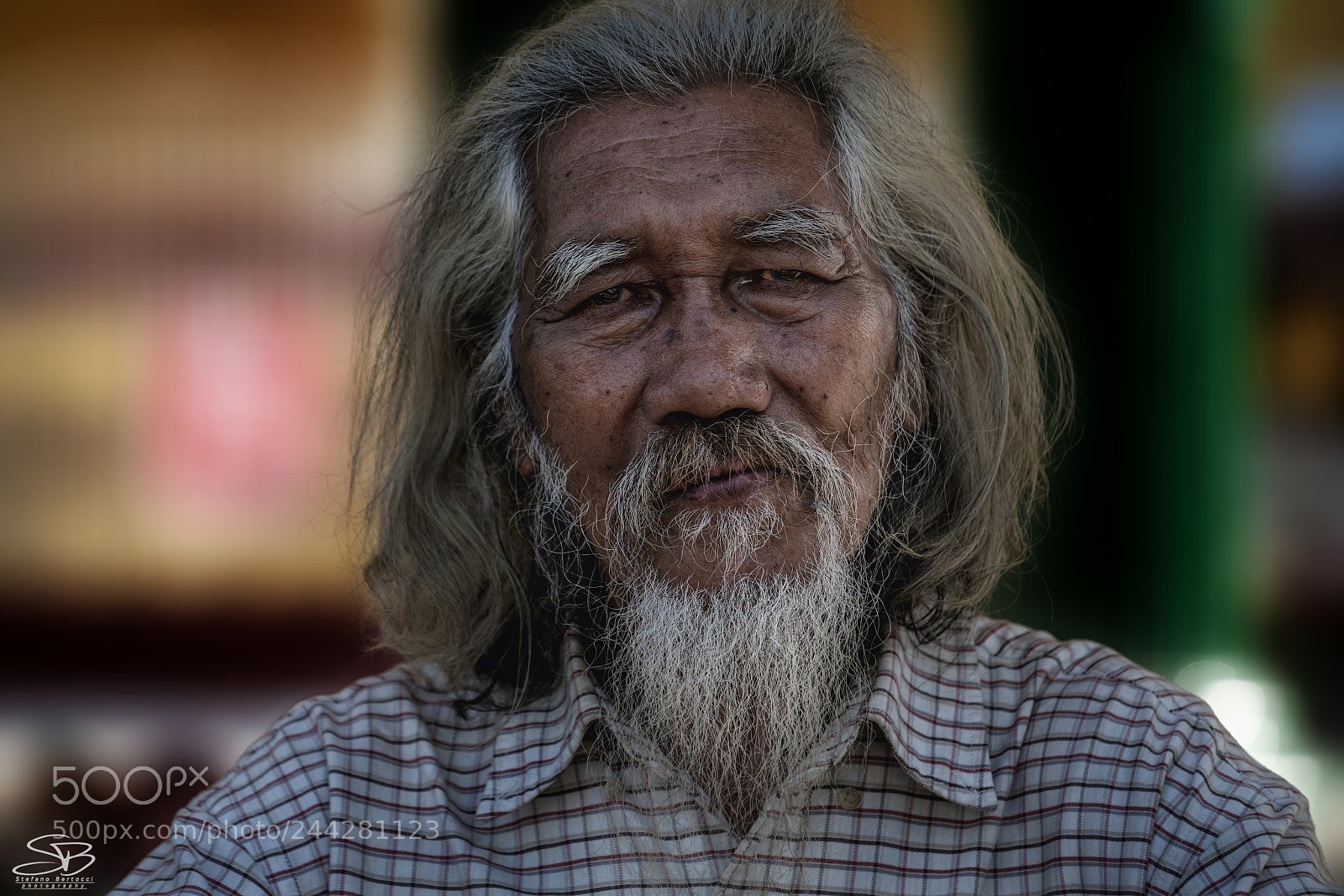 Sony a7R II sample photo. Dsc photography