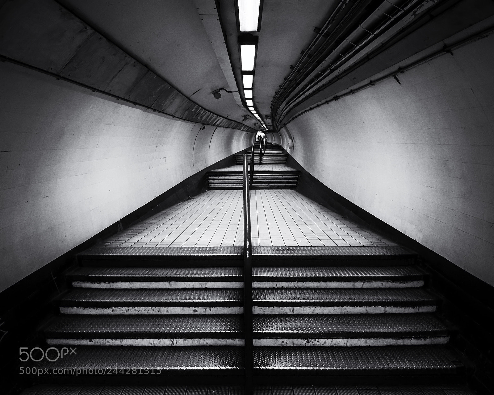 Nikon D810 sample photo. Ascent photography