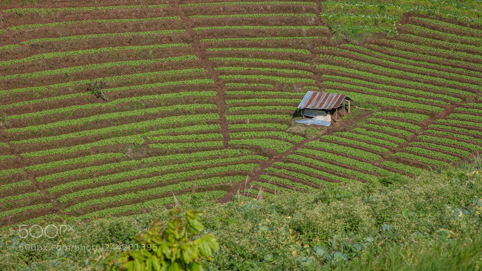 Canon EOS 5DS R sample photo. Moncham farming hut photography