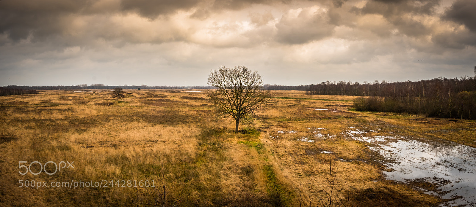 Fujifilm X-T2 sample photo. Hdr pano photography
