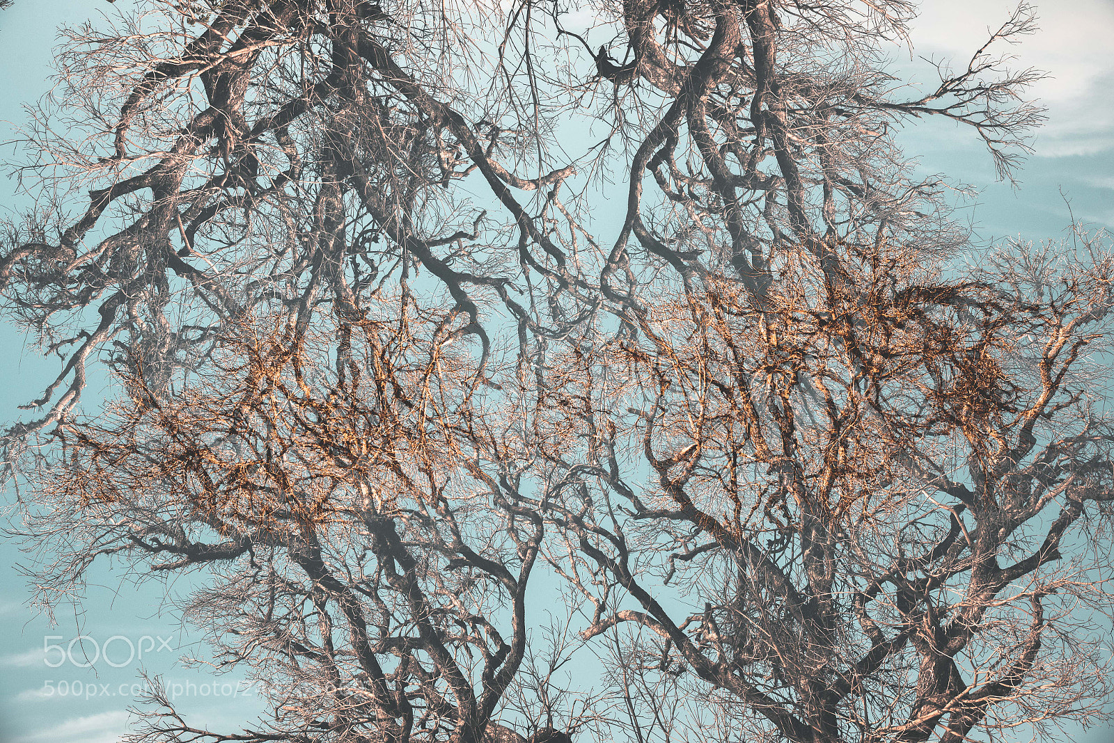 Nikon D810 sample photo. O reflexo do inverso photography
