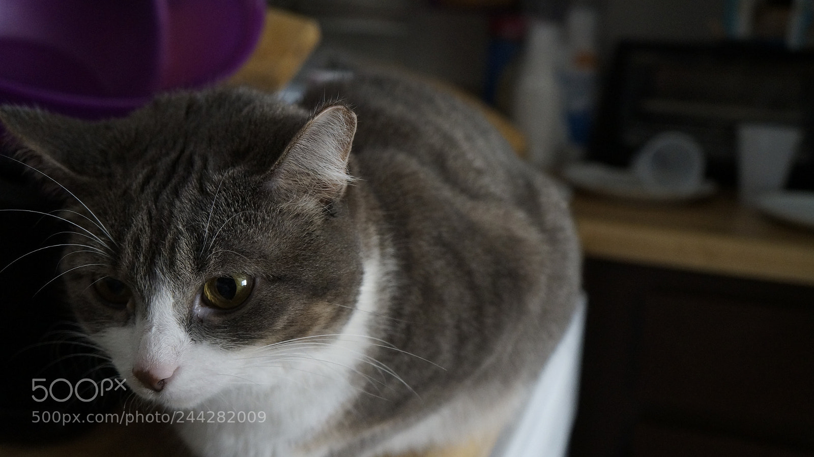 Sony Alpha NEX-F3 sample photo. Midnight. photography