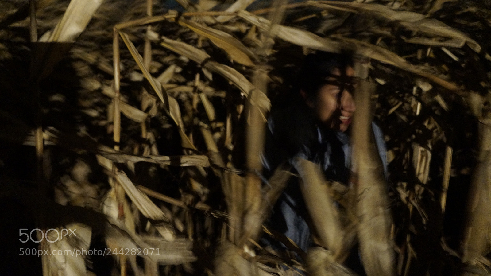 Sony Alpha NEX-F3 sample photo. Maze photography