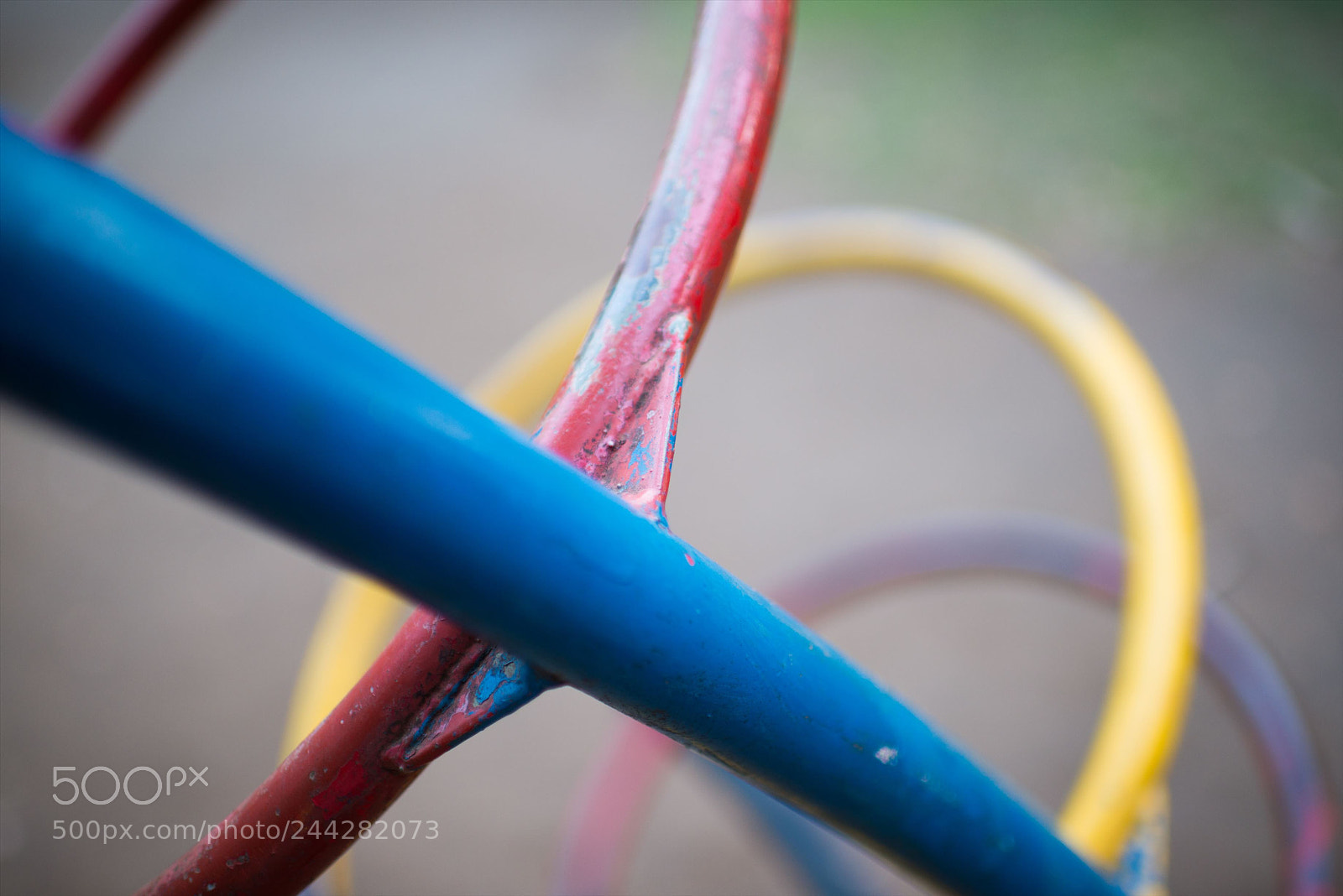 Nikon D800 sample photo. ジャンクフォト / junkphoto photography