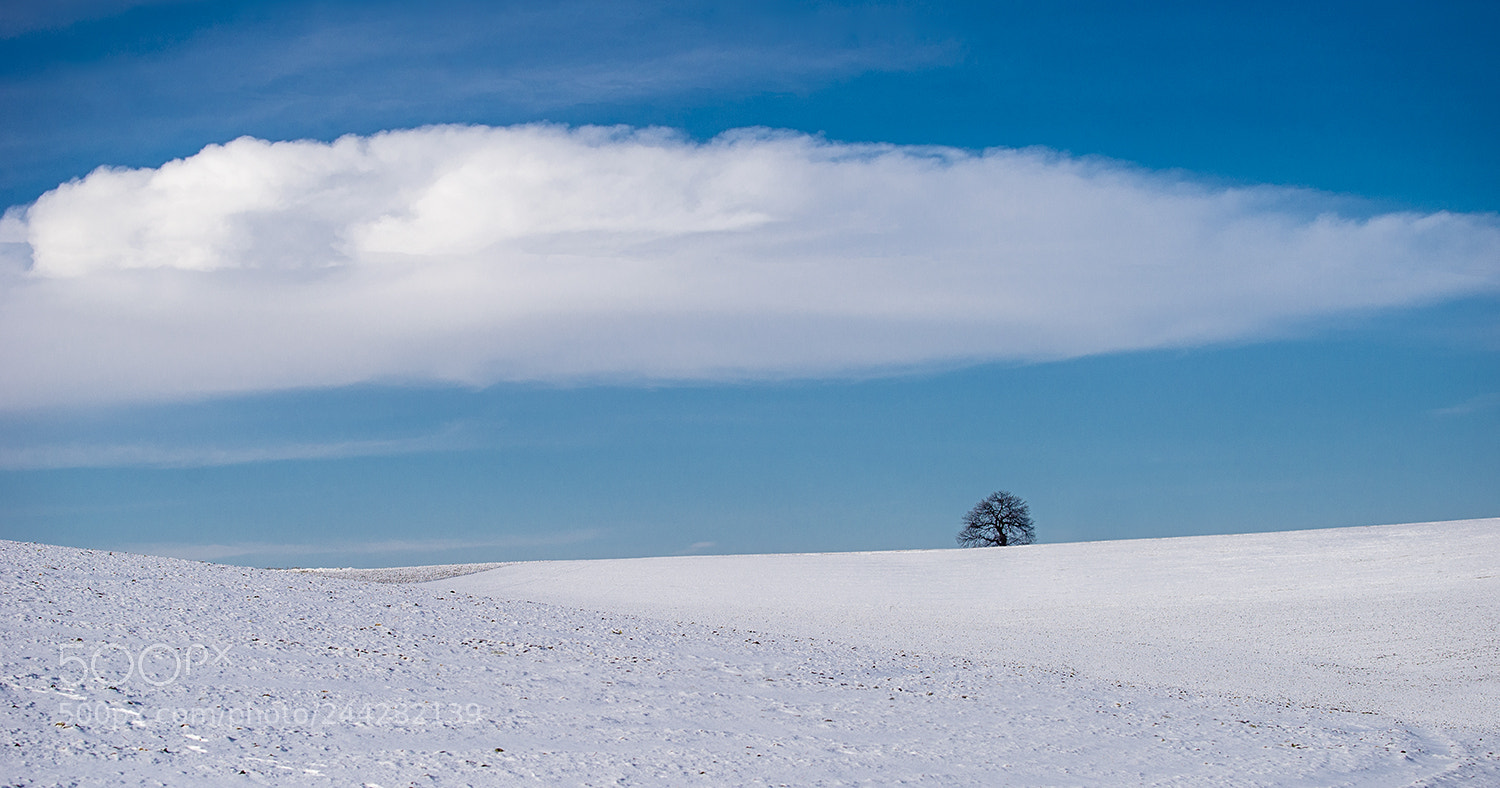 Nikon D610 sample photo. Blue and white photography