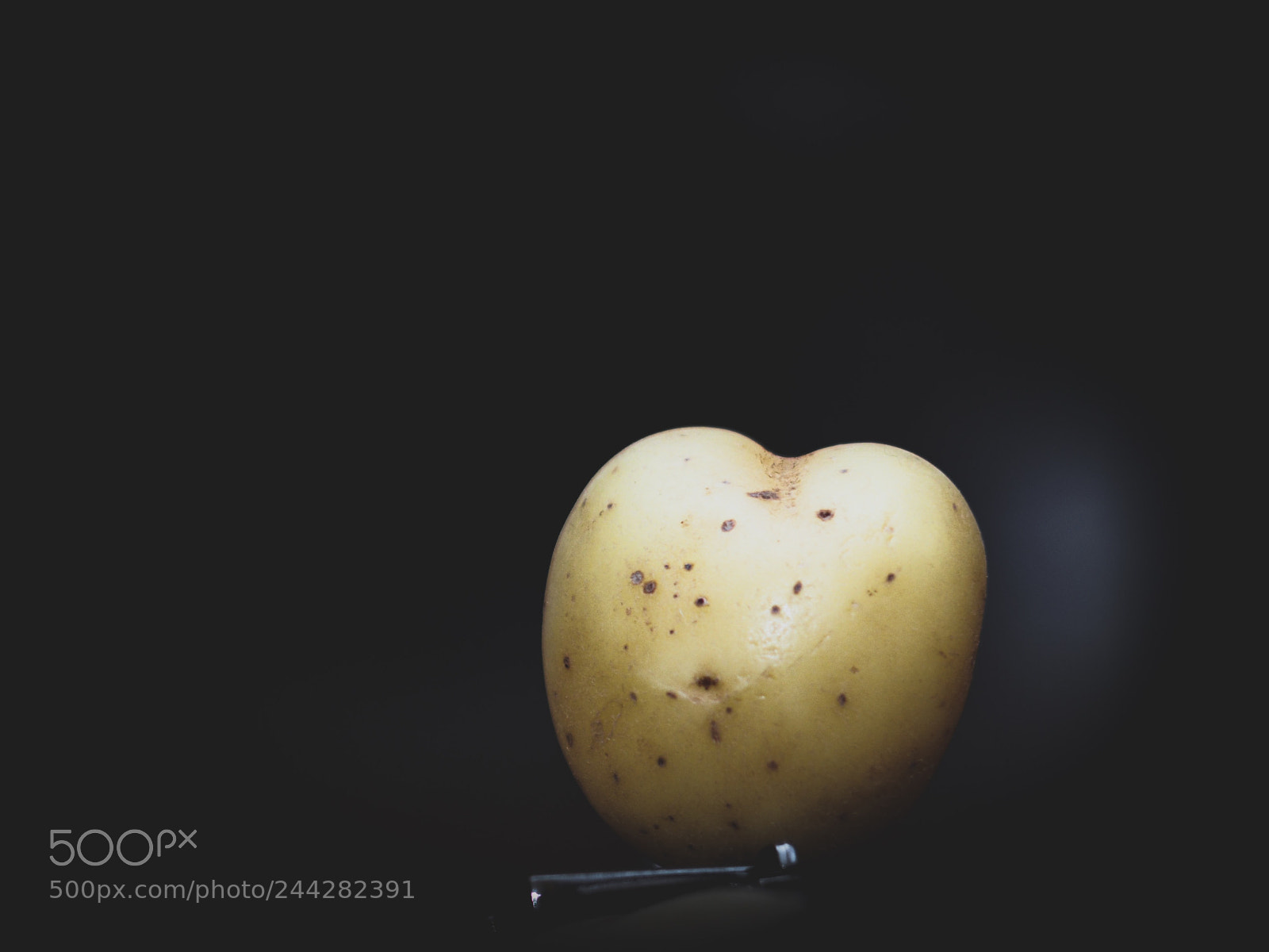 Olympus PEN-F sample photo. Literally a sweet potato photography