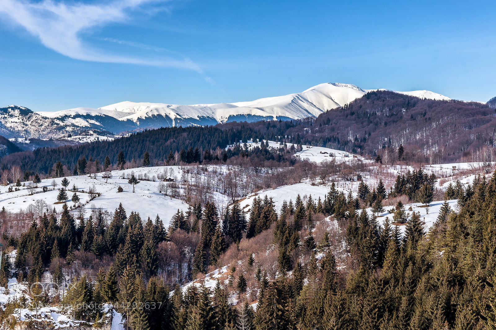 Canon EOS 200D (EOS Rebel SL2 / EOS Kiss X9) sample photo. The carpathians covered with photography