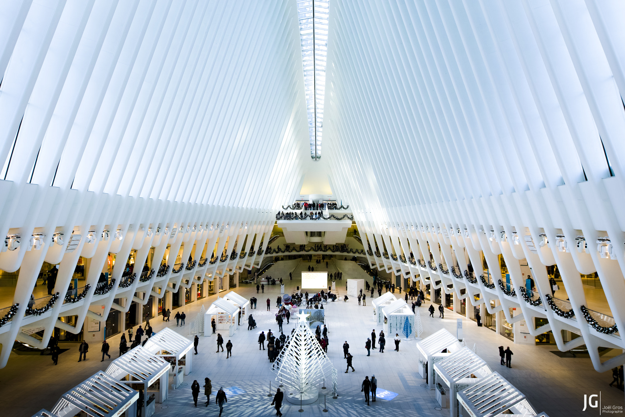 Sigma sd Quattro H sample photo. Oculus, world trade center, new york. photography