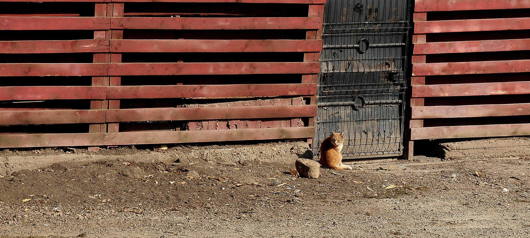 Nikon D300S sample photo. Are you talking to me? photography