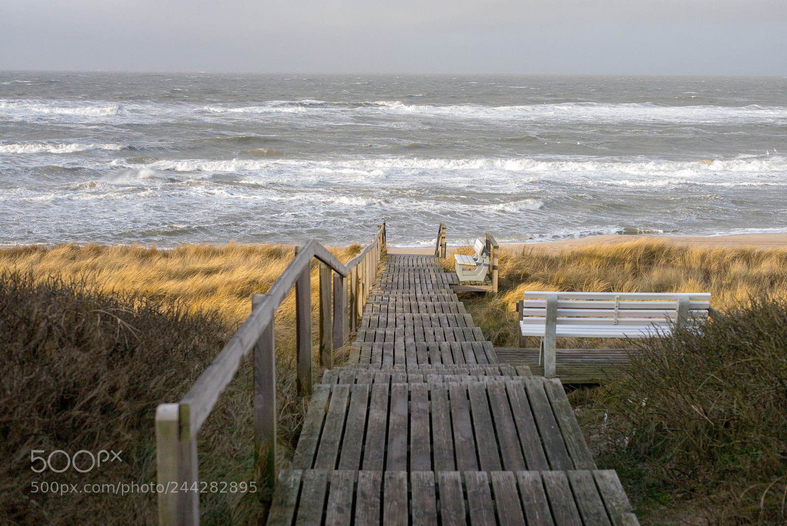 Leica M (Typ 240) sample photo. Nordsee (north sea) photography