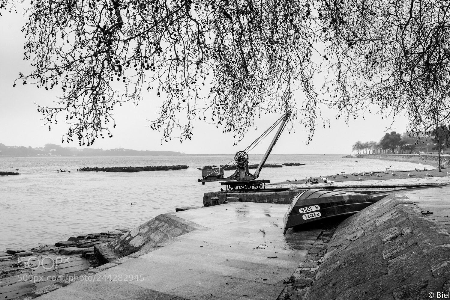 Nikon D610 sample photo. Riverside photography