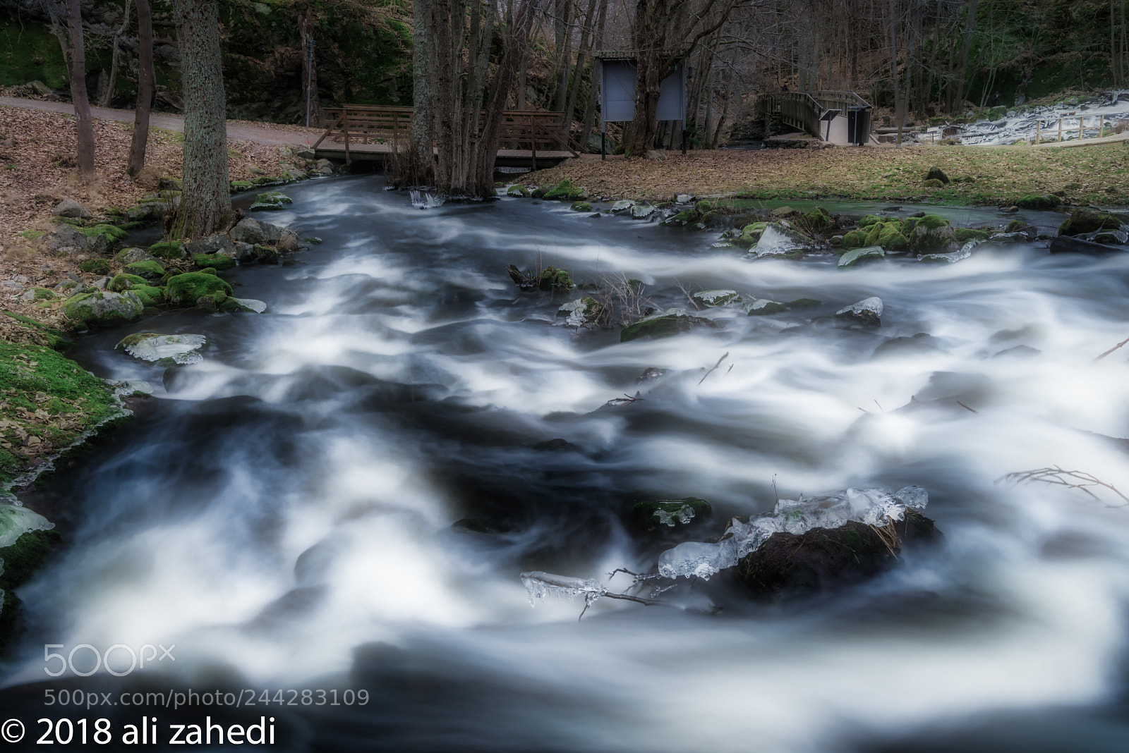 Nikon D810 sample photo. N:stream photography