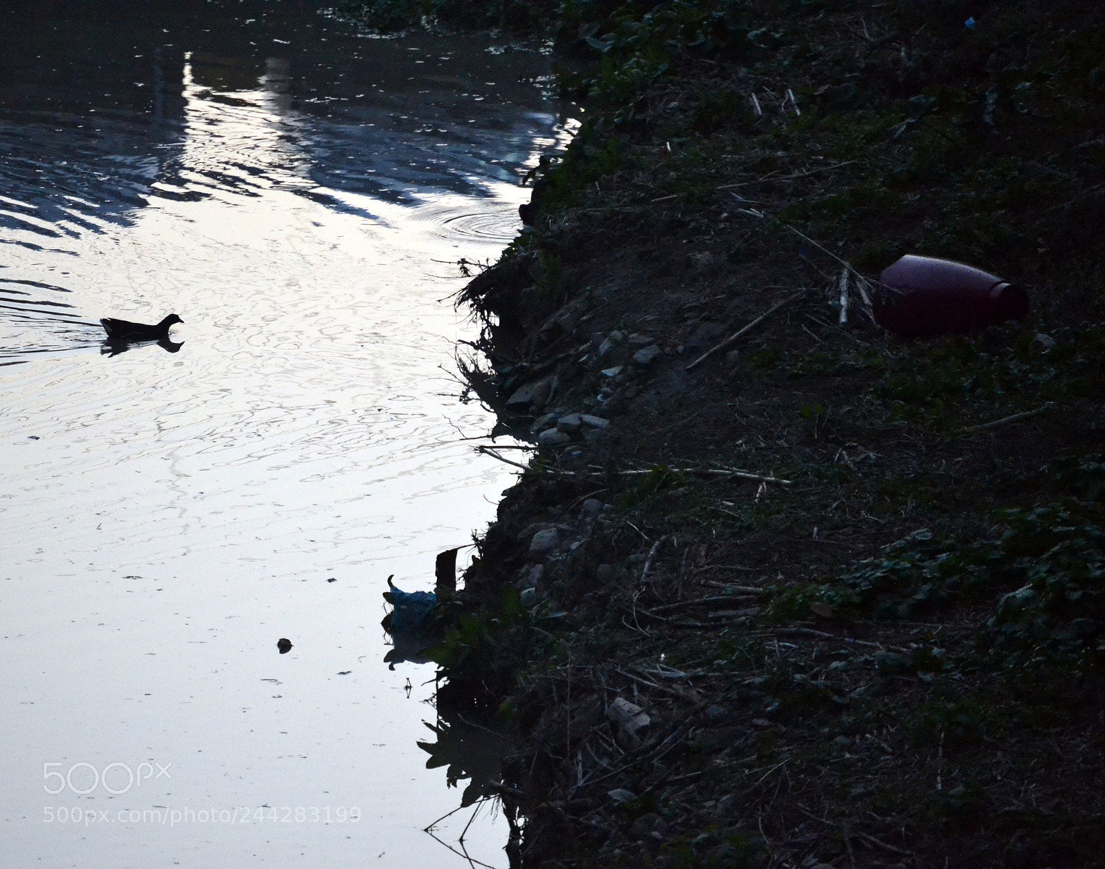 Nikon D3100 sample photo. Untitled photography