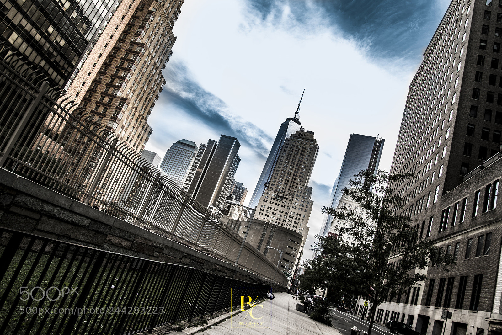 Nikon D800 sample photo. Untitled photography