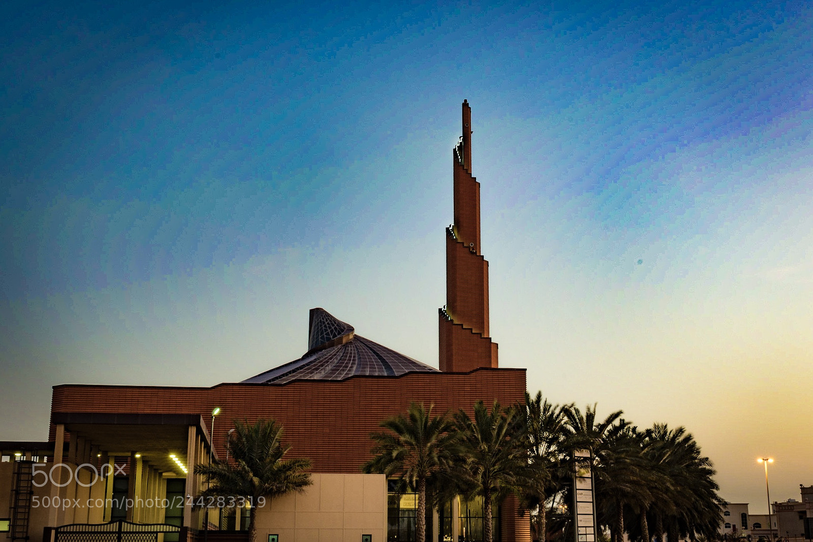 Nikon D500 sample photo. Untitled photography